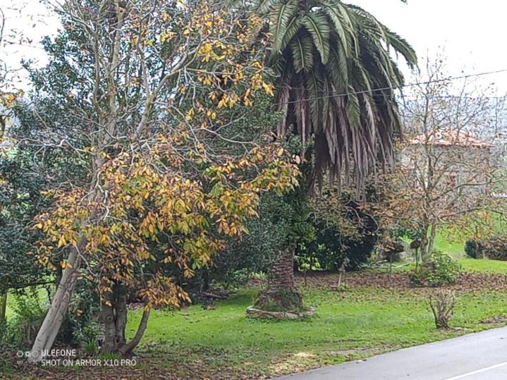 Apartmán Casa Chisco Cudillero Exteriér fotografie